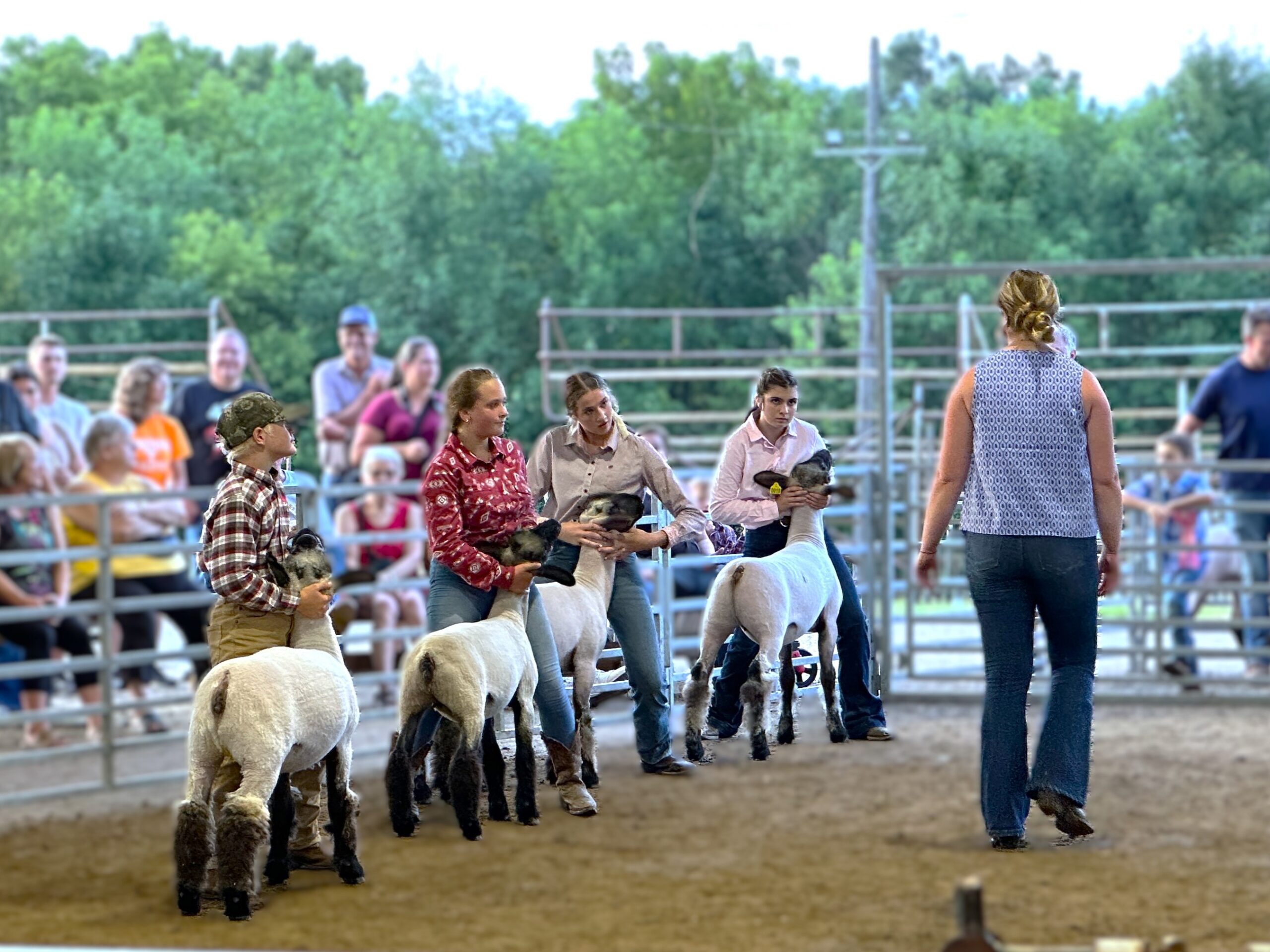 Saline Community Fair Celebrates 90 Years: Honoring the Past, Embracing the Future