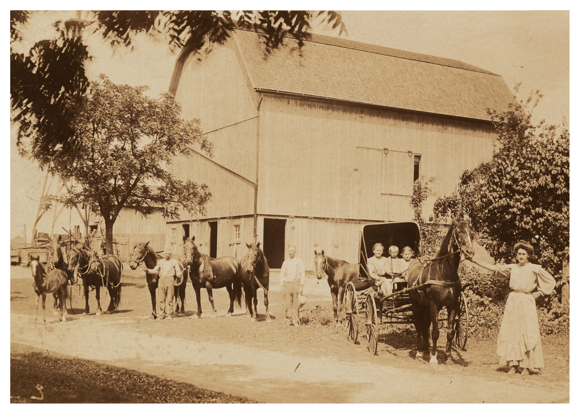 Sylvan Township Farm Featured in Washtenaw Conserved Farm Tour