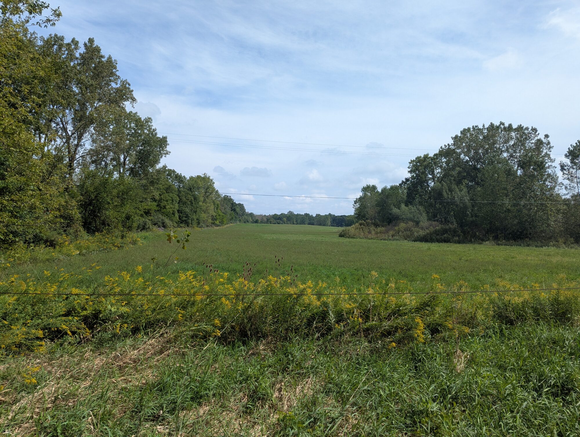 Scio Township Adds 78 Acres to Land Preservation Efforts