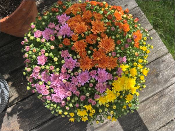 Kicking-off the Fall Season at Jacob’s Fresh Farm